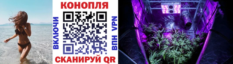 Шишки марихуана MAZAR  Мурино 